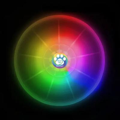 FLASHFLIGHT DOG DISCUIT LED FLYING DISC