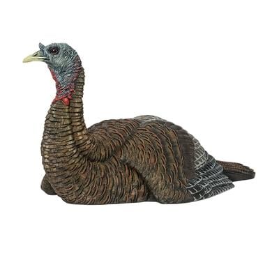 Lcd - Laydown Hen Turkey