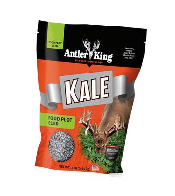 Kale 1lb Bag Plants 1/8 Acre
