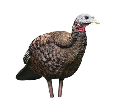 Lcd Breeder Hen - Turkey